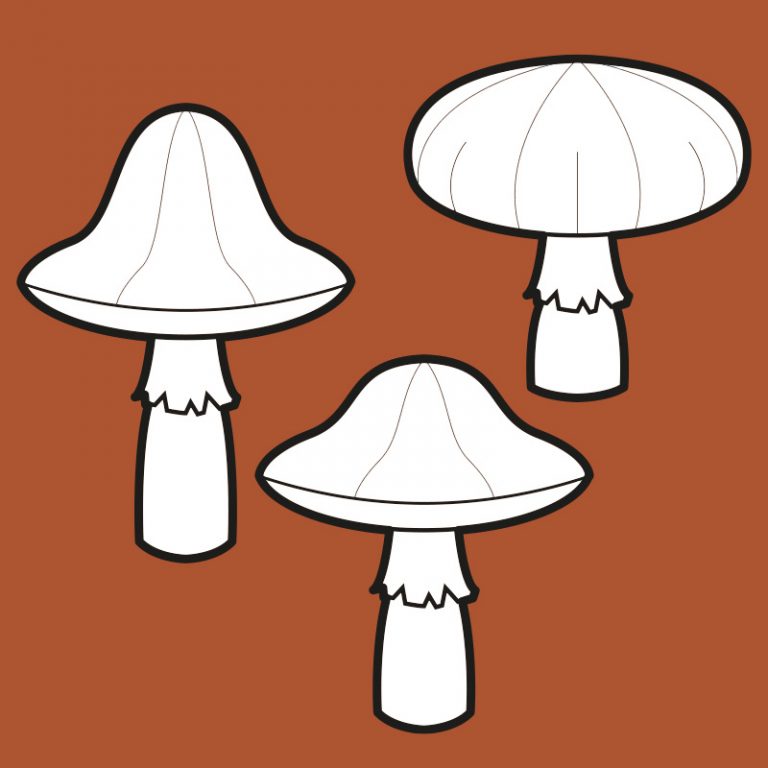 mushrooms-pattern-collection-pretzl-cosplay