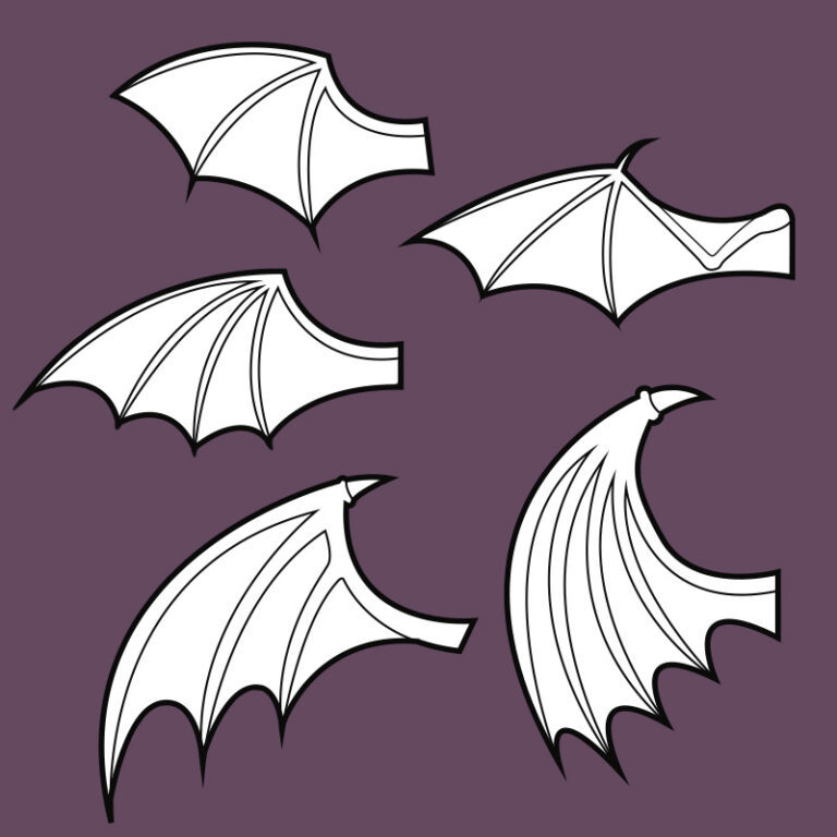 Bat wings template collection 5 wing shapes Pretzl Cosplay